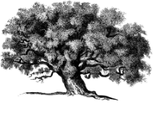 Kwatera Agro Dębina